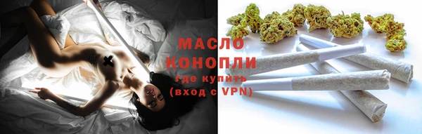 молекула духа Семилуки