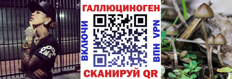 Псилоцибиновые грибы MAGIC MUSHROOMS  МЕГА рабочий сайт  Шацк 